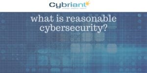 reasonable cybersecurity